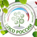 Иконка канала ЦПСО России