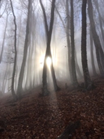 Иконка канала FIERY TREVELLER