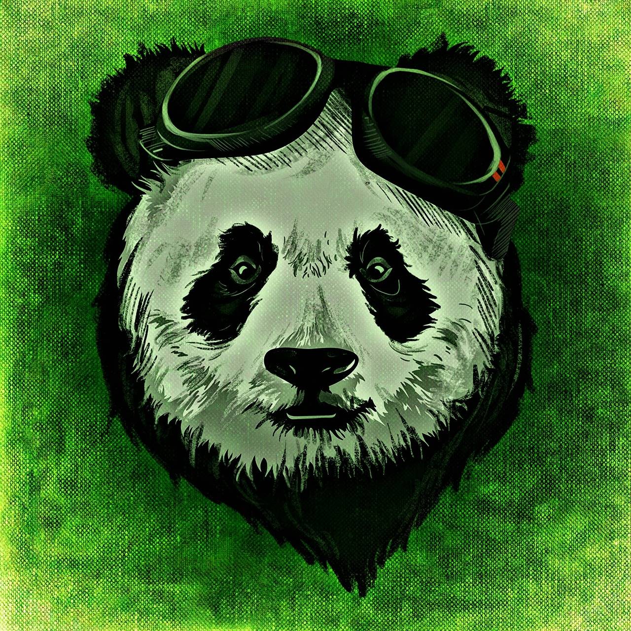 Панда на аву