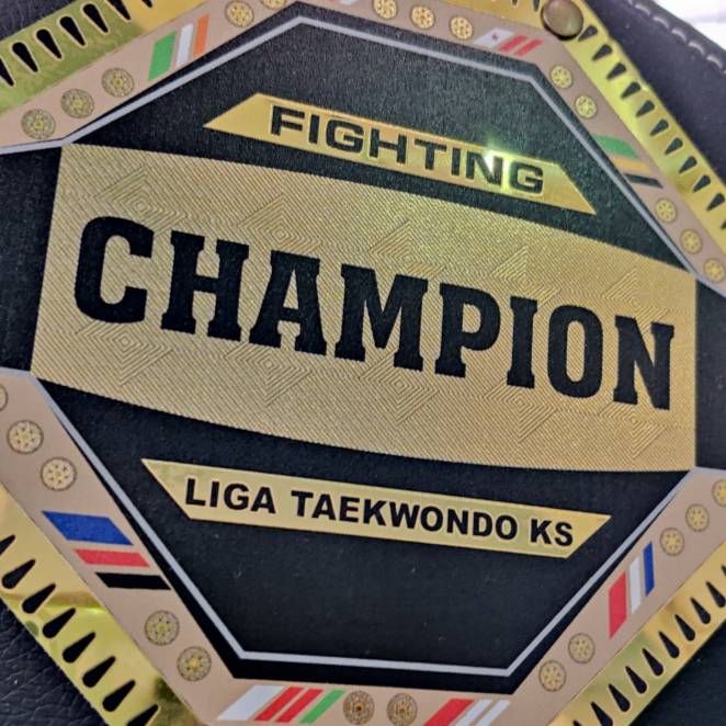 Иконка канала ligataekwondo