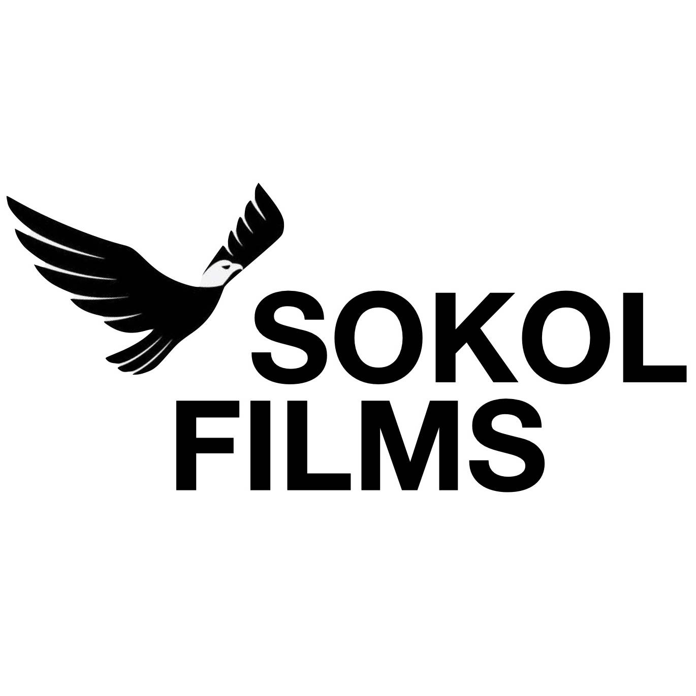 Иконка канала SOKOL FILMS