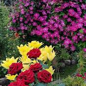 Иконка канала Домик окнами в сад