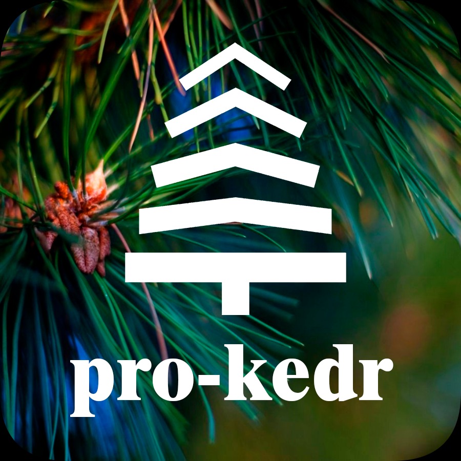 Иконка канала pro-kedr