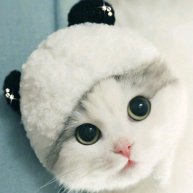 Иконка канала AlexeyMurom