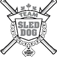 Иконка канала Team Sled Dog - Full Contact Stick Fighting
