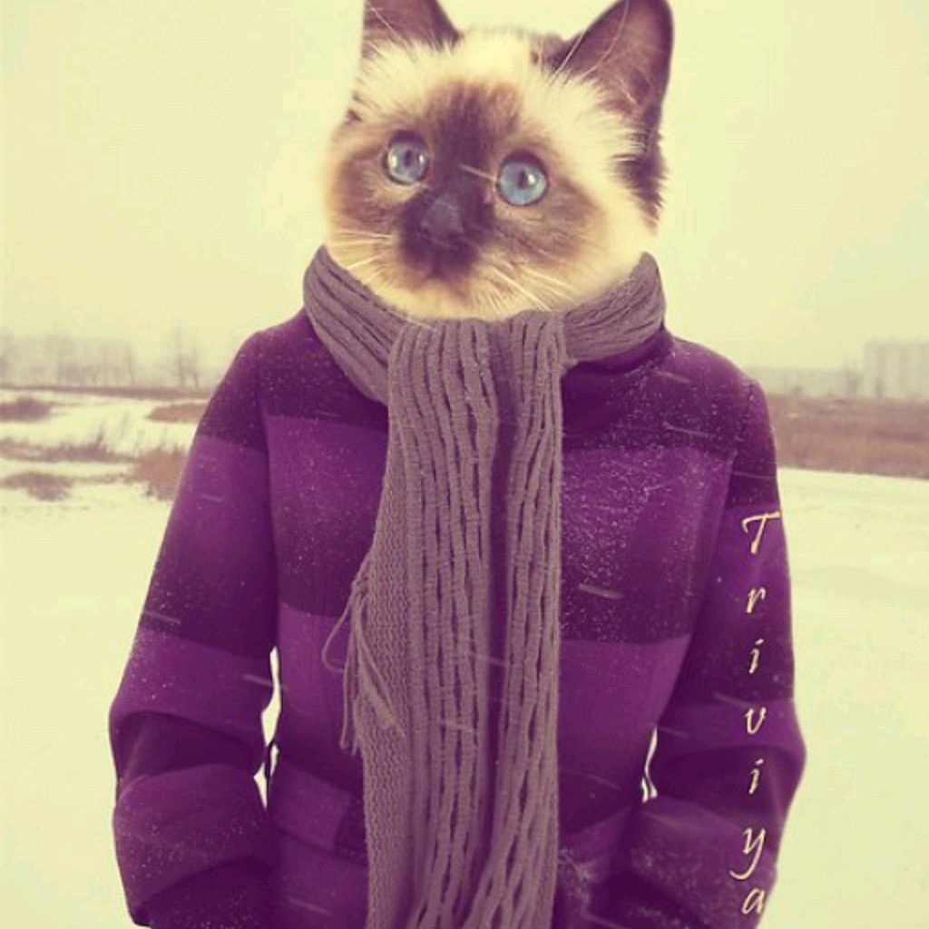 Крутые авы для мальчиков. Поставь какую то крутую. Додж челленджер самп. Крутые авы. Ренч watch dogs 2.