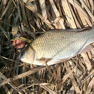 Иконка канала Мои маленькие хобби