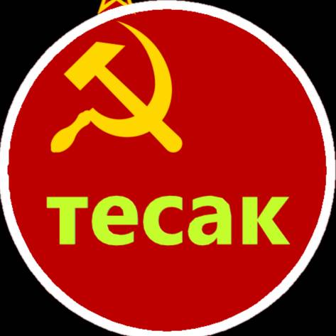 Иконка канала ТЕСАК