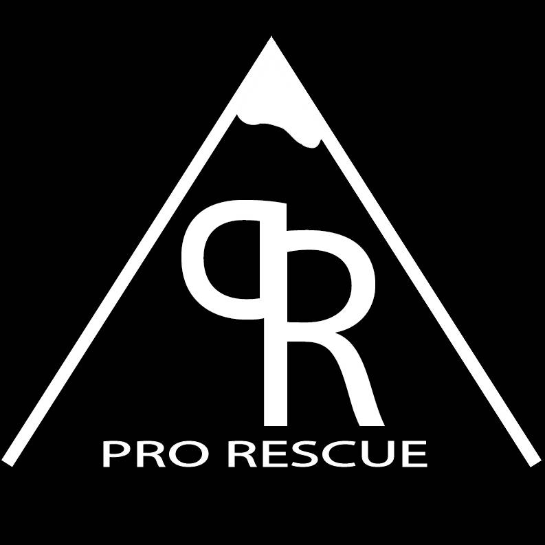 Иконка канала PRO|RESCUE
