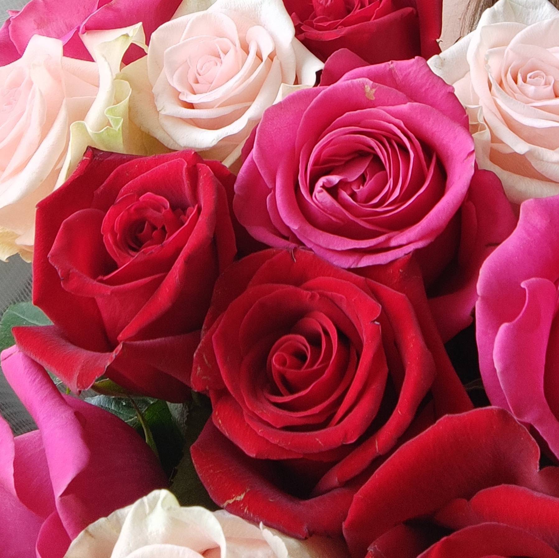 Иконка канала 60 Соток в Сибири