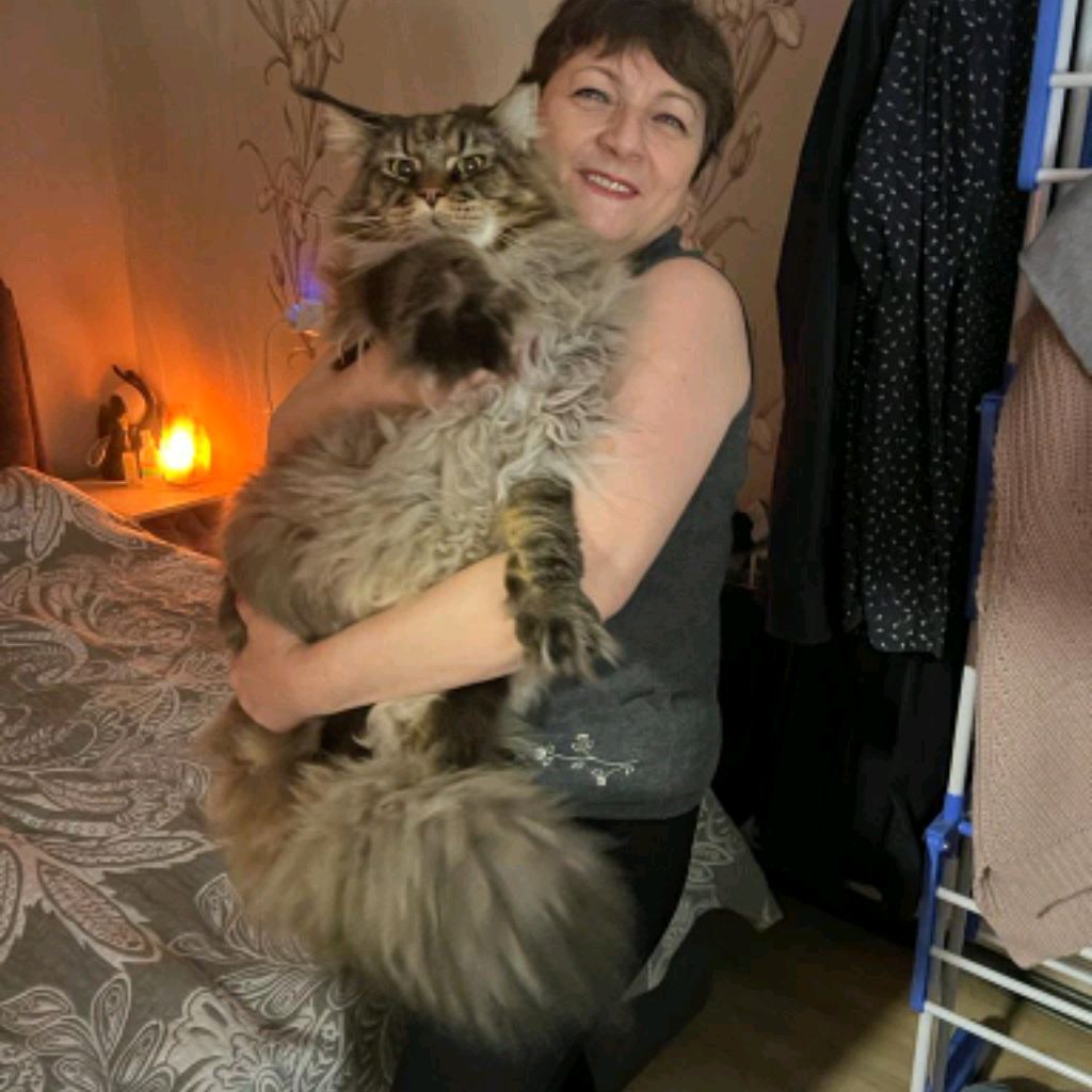 Аватар