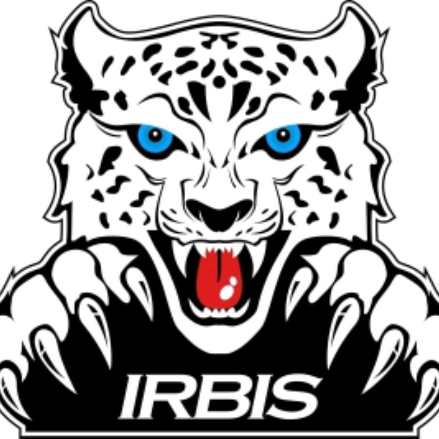 Tatar барс. Снежный Барс эмблема. Ирбис лого. Барс логотип. Леопард логотип.