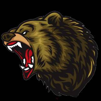 Иконка канала Сибирский медведь