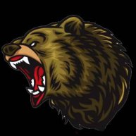 Иконка канала Сибирский медведь