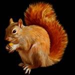 Иконка канала BigBelka