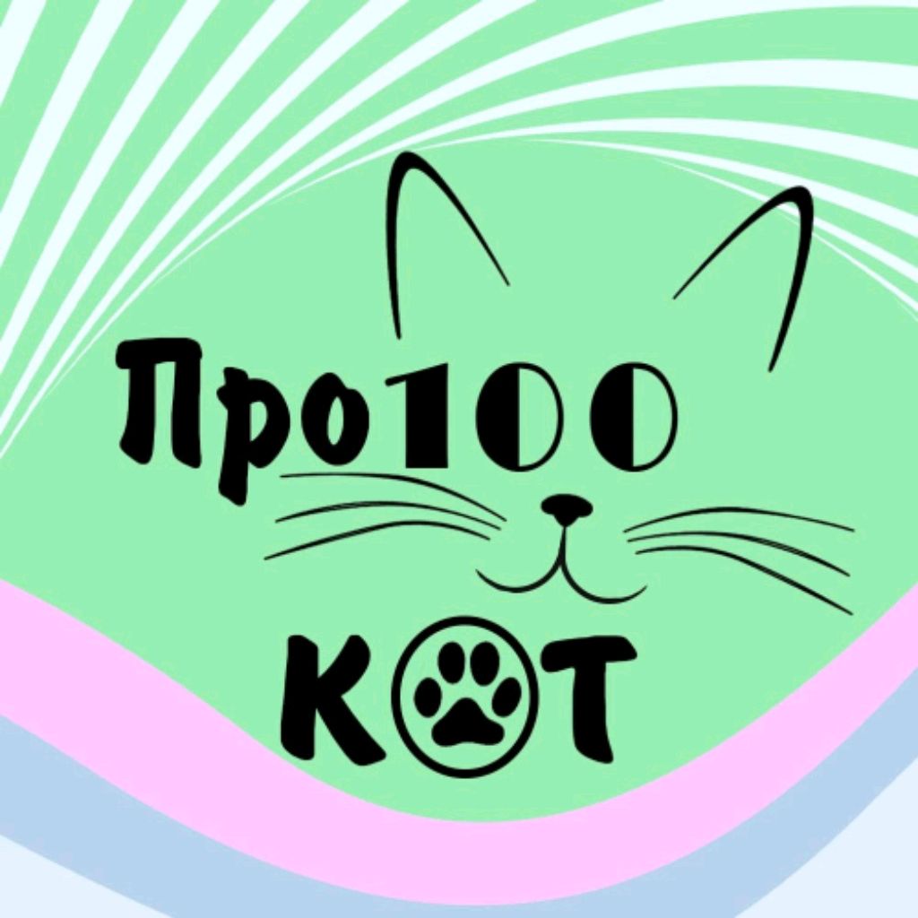 Коту 100 лет. Кот 100. Кот + кот + кот = 100. Т-100. 100 Лет коту.