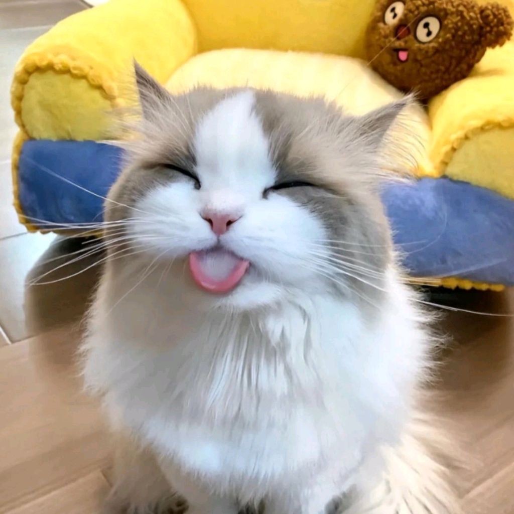 Аватар