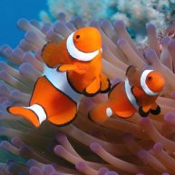 Иконка канала Prudy 5