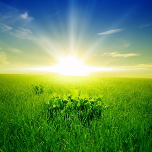 Иконка канала Gow Svet 24