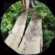 Иконка канала Бобры на чемоданах