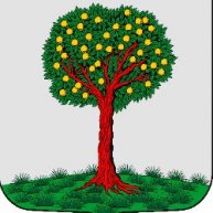 Иконка канала МАМО г. ЛОМОНОСОВ