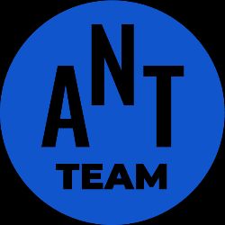 SEO от Ant-Team.ru