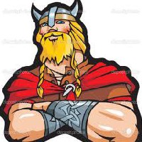 VikinG™