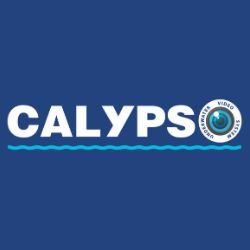 Иконка канала Электроника Calypso — официальный канал