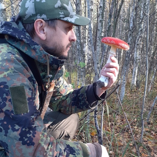 Добро пожаловать в Средилесье.