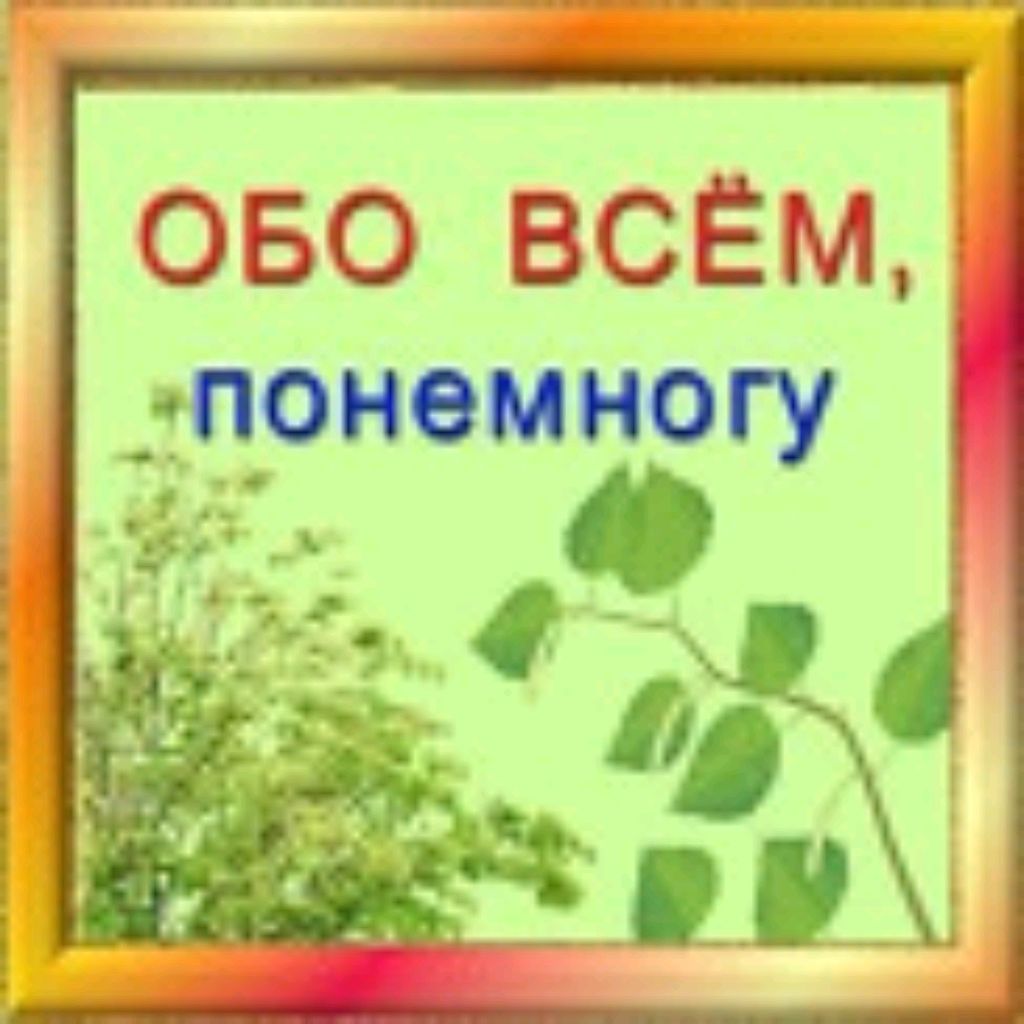 Всего понемногу. Обо всём по немногу. Обо всем понемножку. Обо всём понемногу картинки. Немного обо всем.