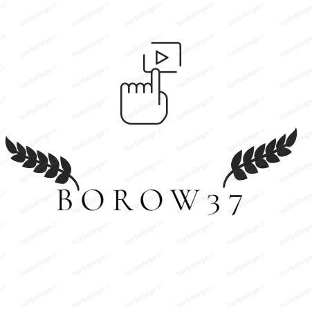 Иконка канала BOROW37