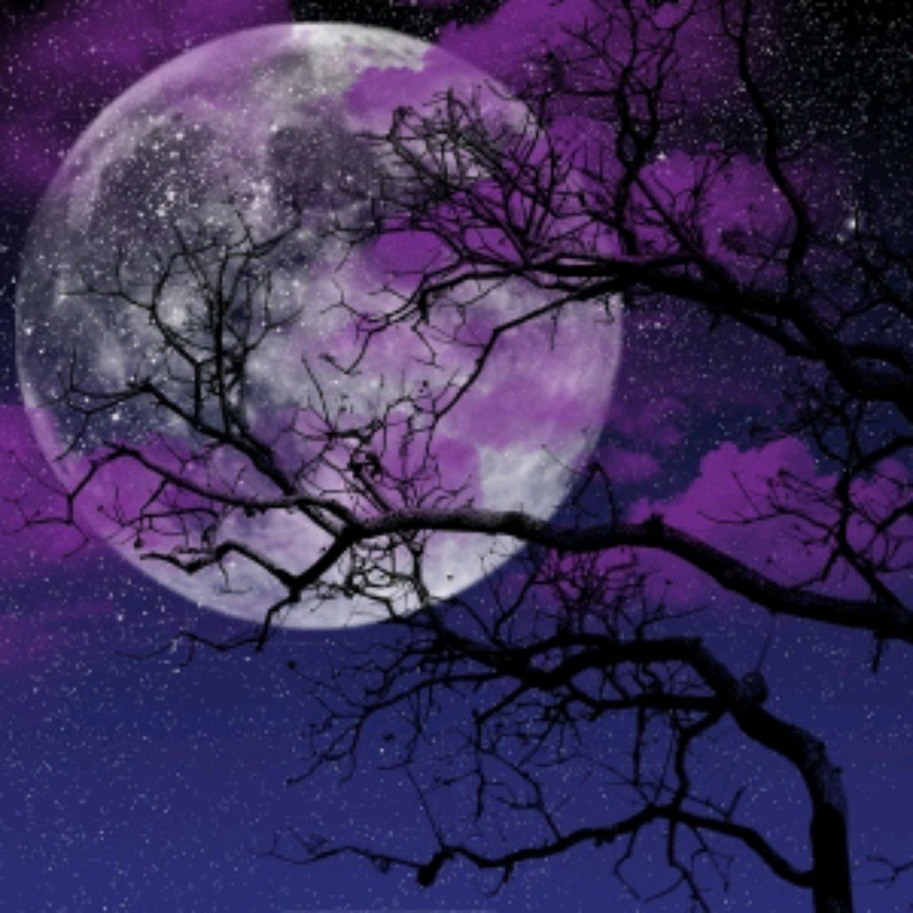 Луна и пейзаж фиолетовый