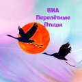 Иконка канала ВИА Перелётные Птицы