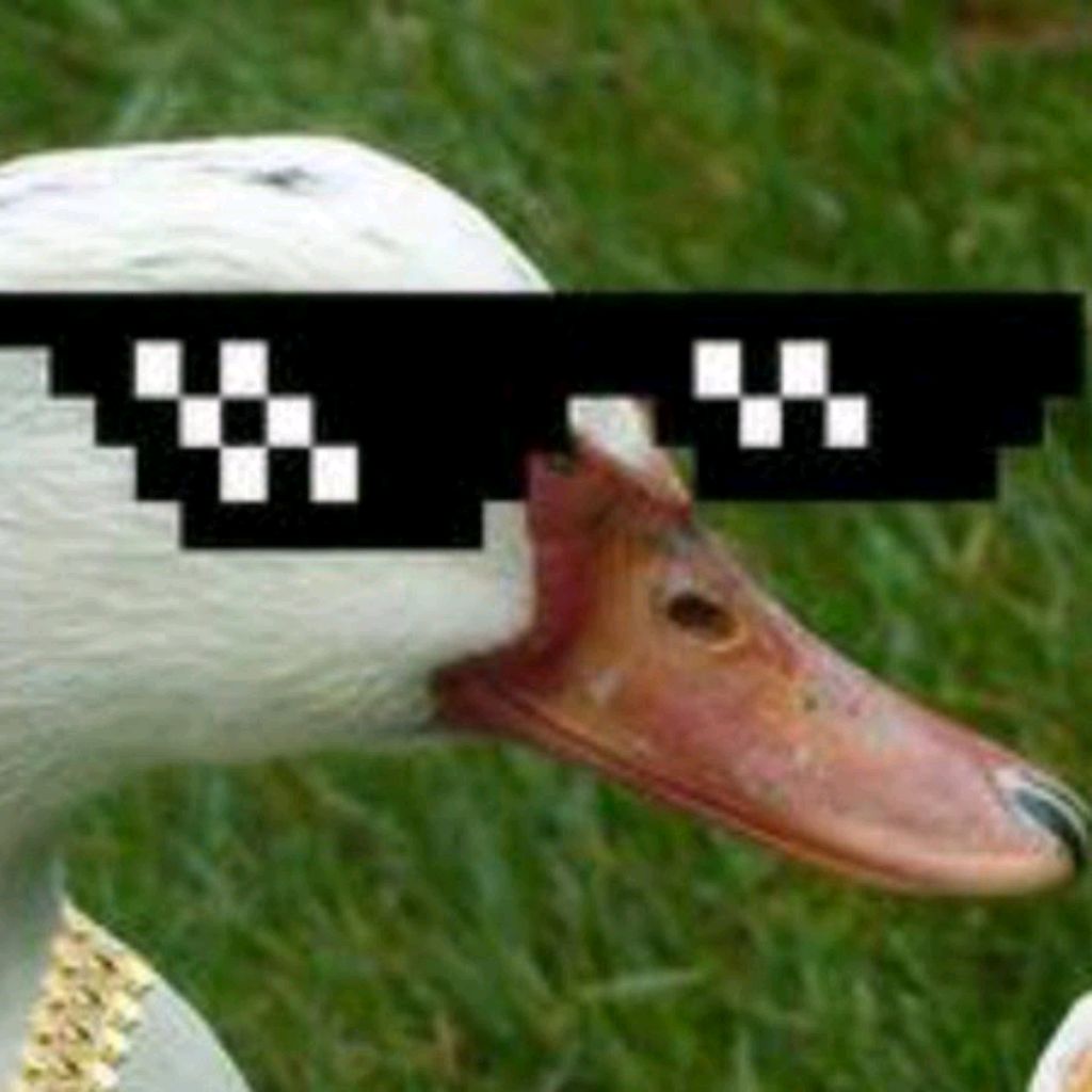 Смешные фотографии гусей