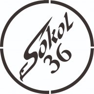 Иконка канала SOKOL36