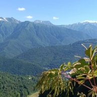 Иконка канала То что вижу