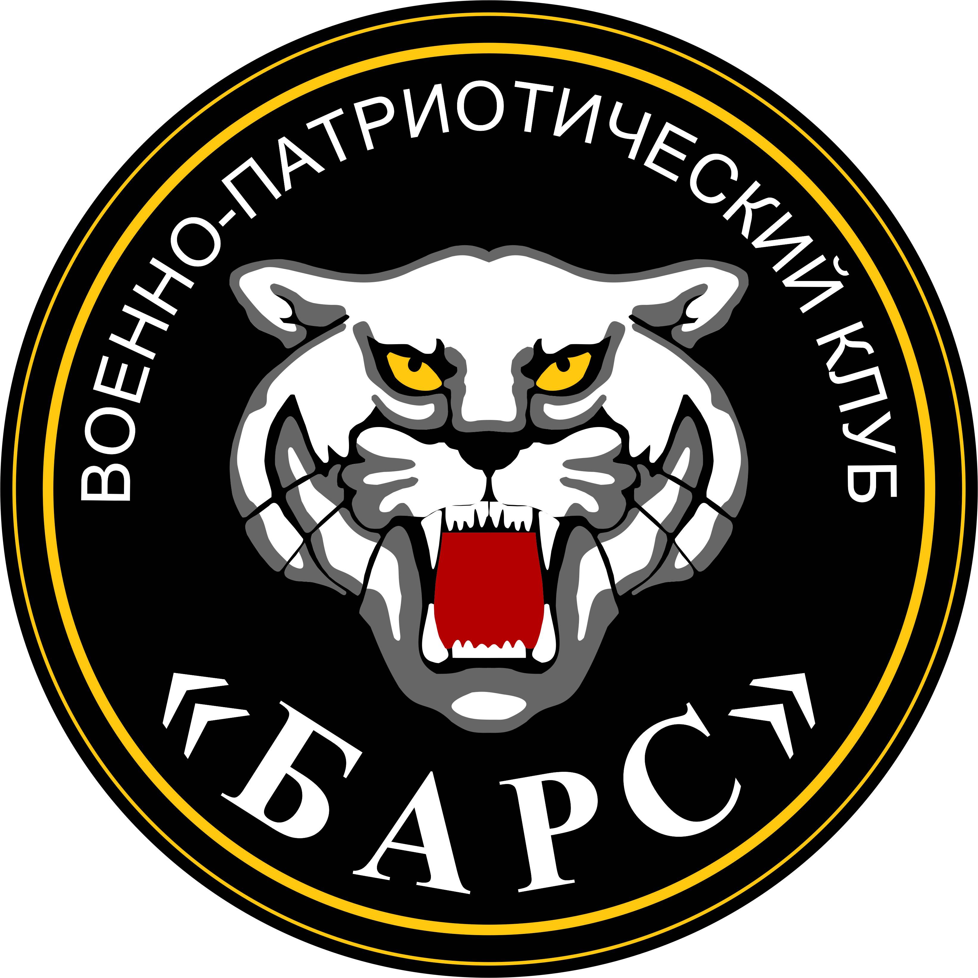 Иконка канала ВПК «БАРС»