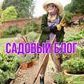 Иконка канала Садовый блог