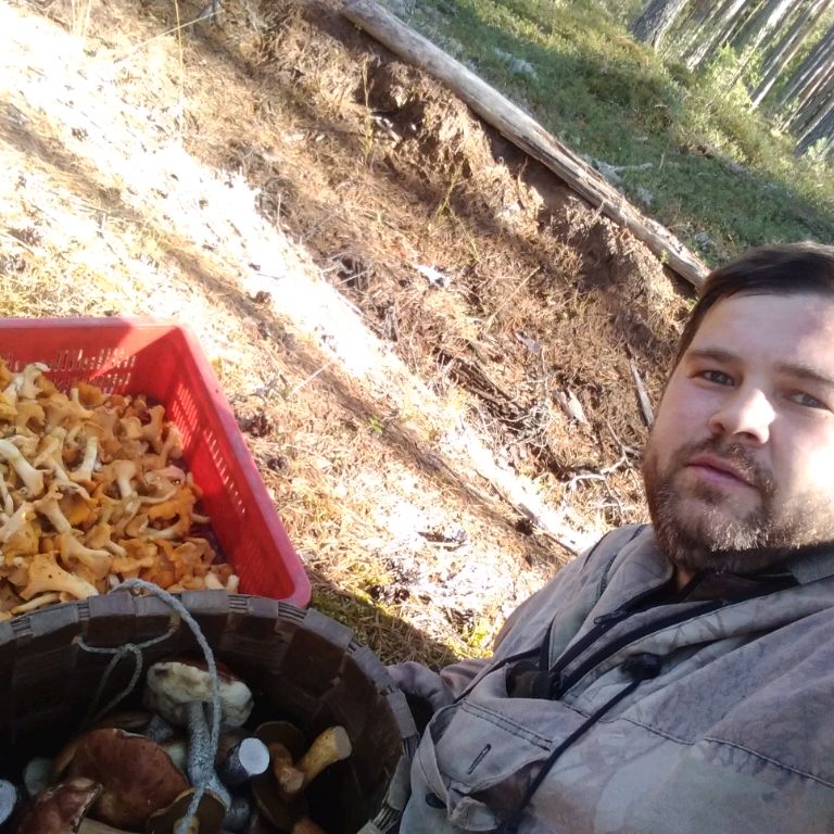 Иконка канала ХОЧУ В ТАЙГУ