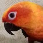 Иконка канала channel27244613