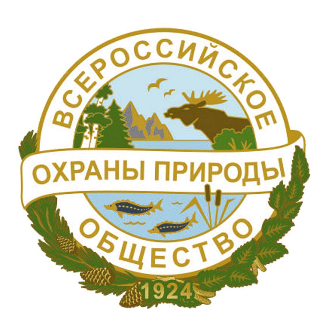 Иконка канала ВООП по Санкт-Петербургу и Ленобласти