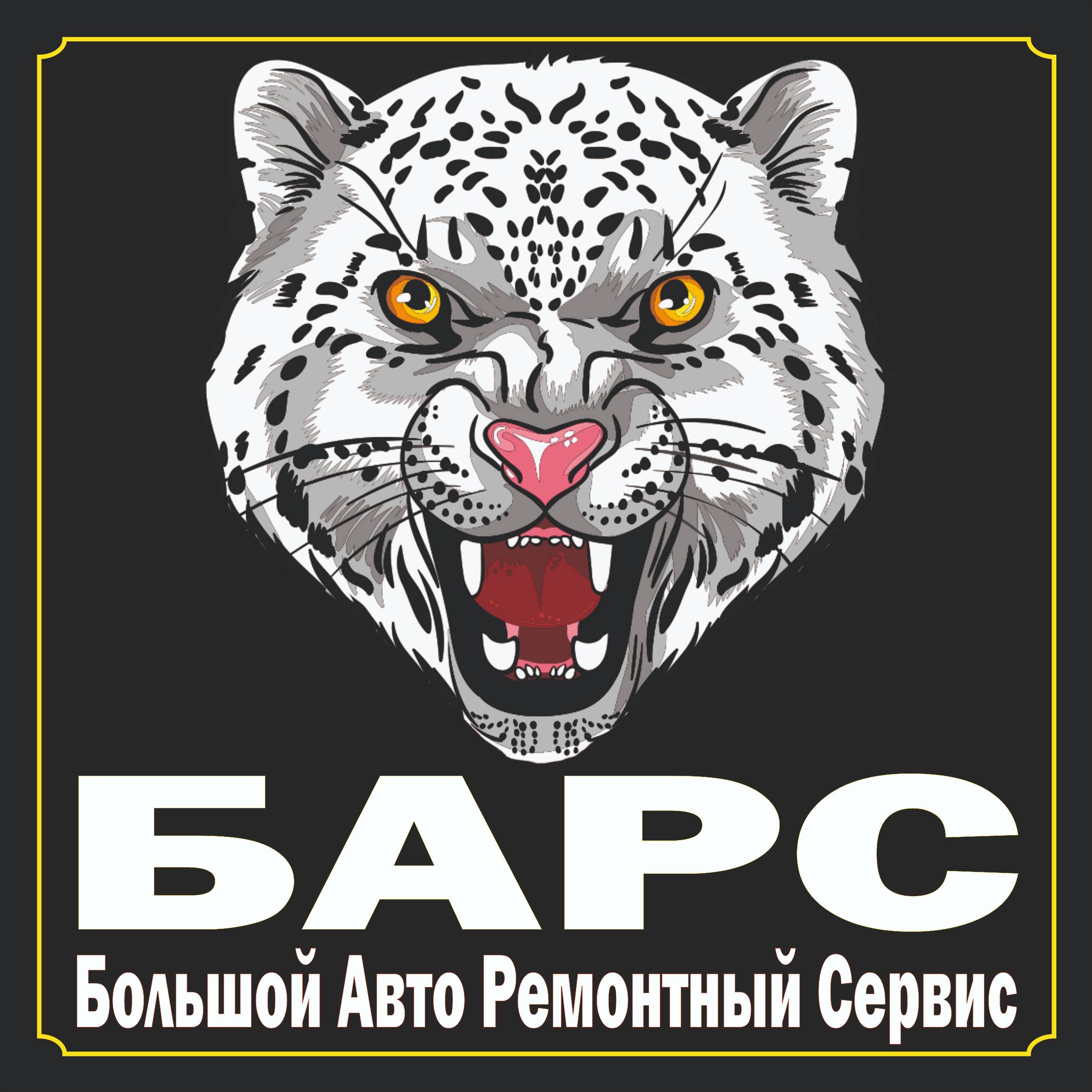 Барс 48