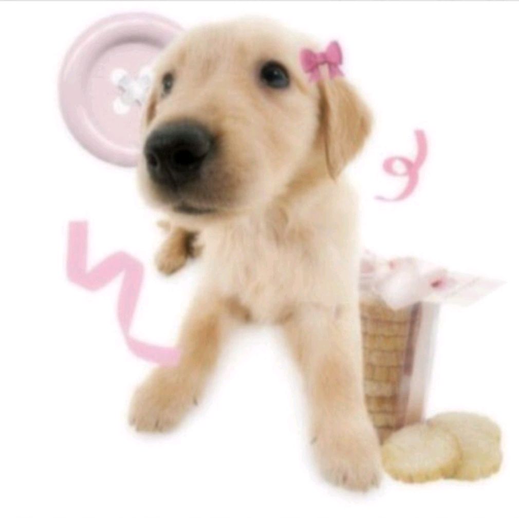 Иконка канала Твикса тока🌲☃️❄️