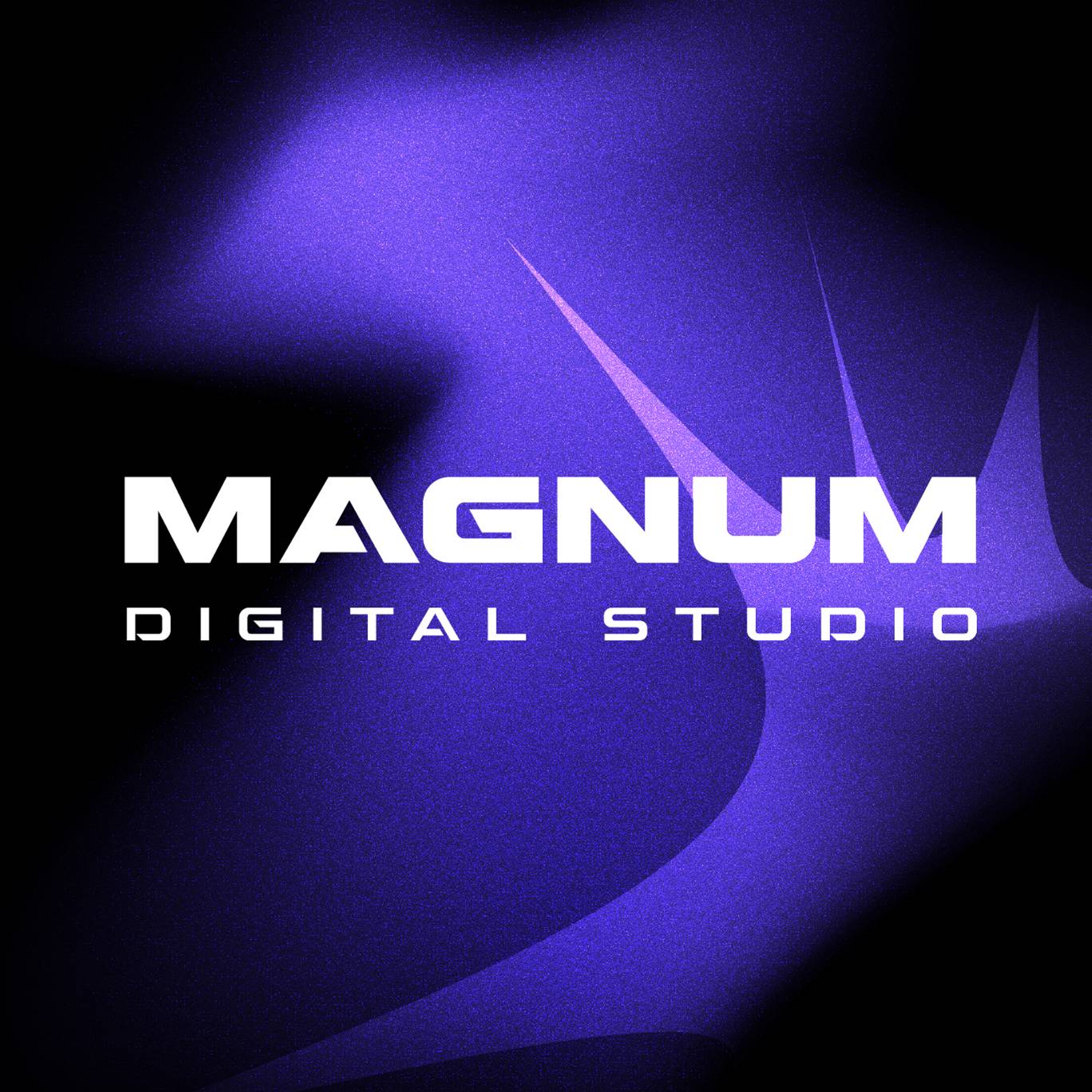 Magnum Digital Studio