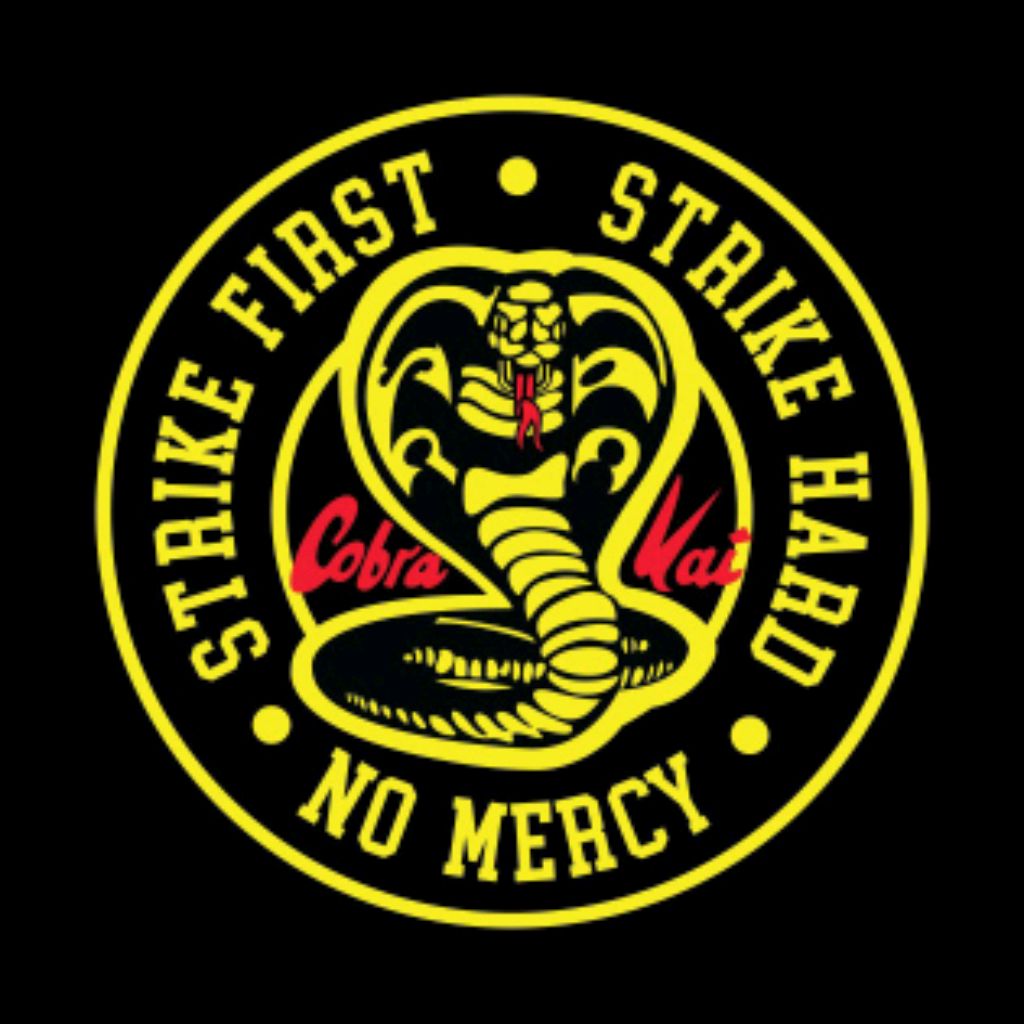 Hard strikes. Strike first Strike hard no Mercy Cobra Kai.