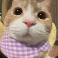 Иконка канала huffyss