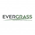 Иконка канала EverGrass