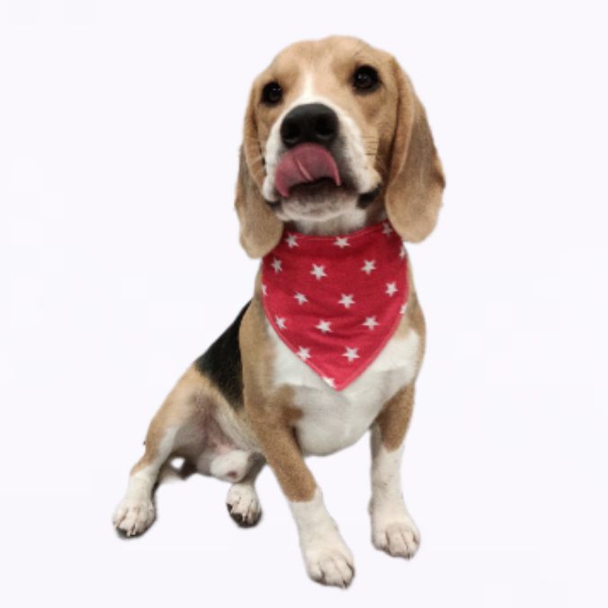 Иконка канала Мартин & Шанти