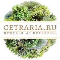 Иконка канала Cetraria