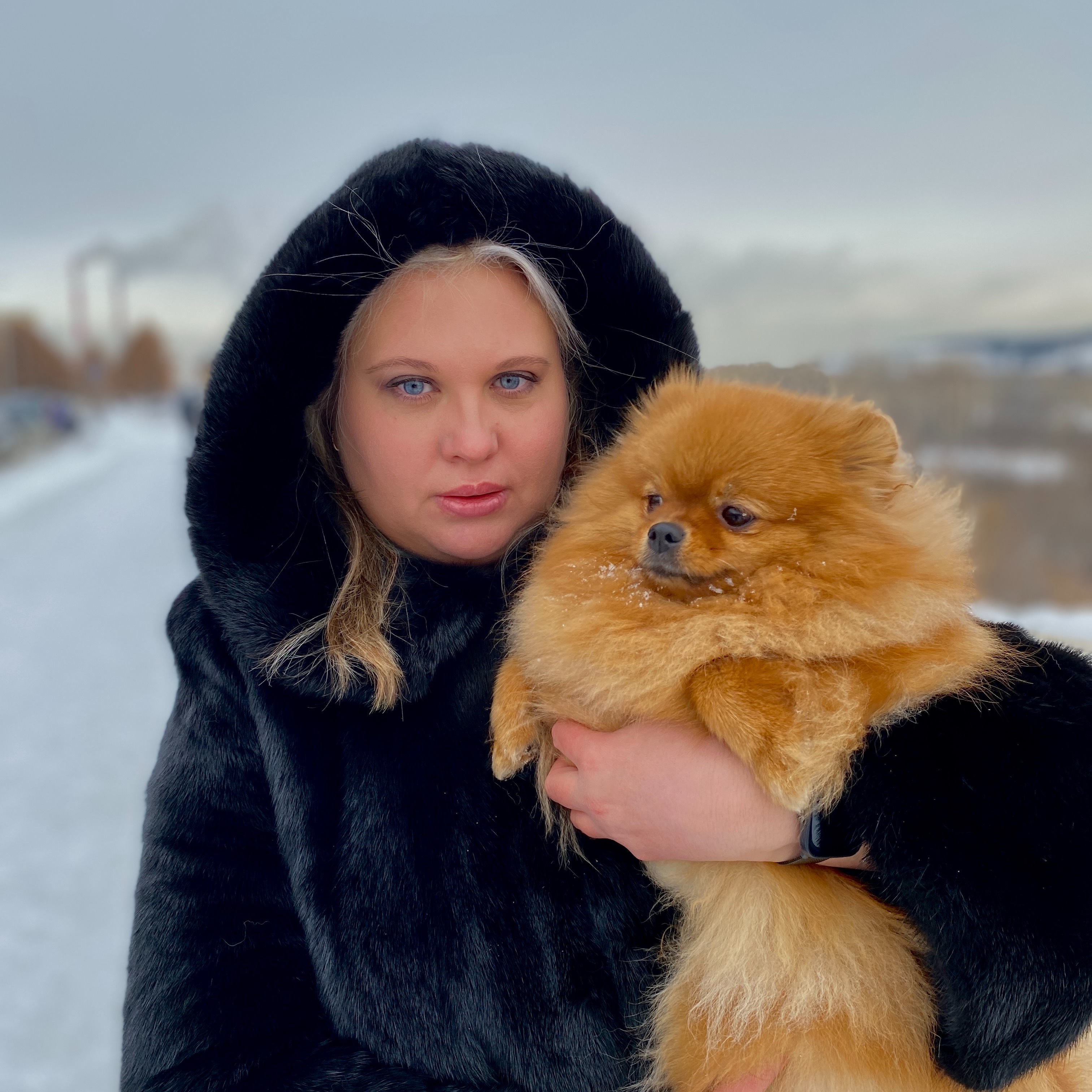 Иконка канала Мария Сушлякова / Шпиц Бэлла / Шпиц Оливия